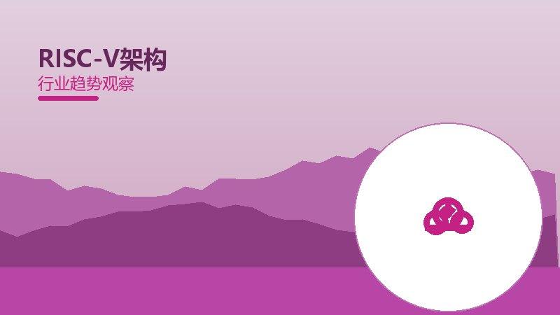 RISC-V架构配图