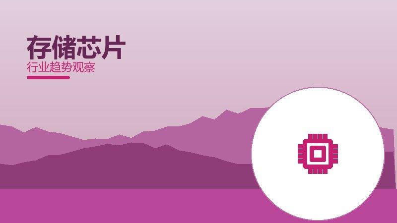 存储芯片增长红利，动力与机会窗口
