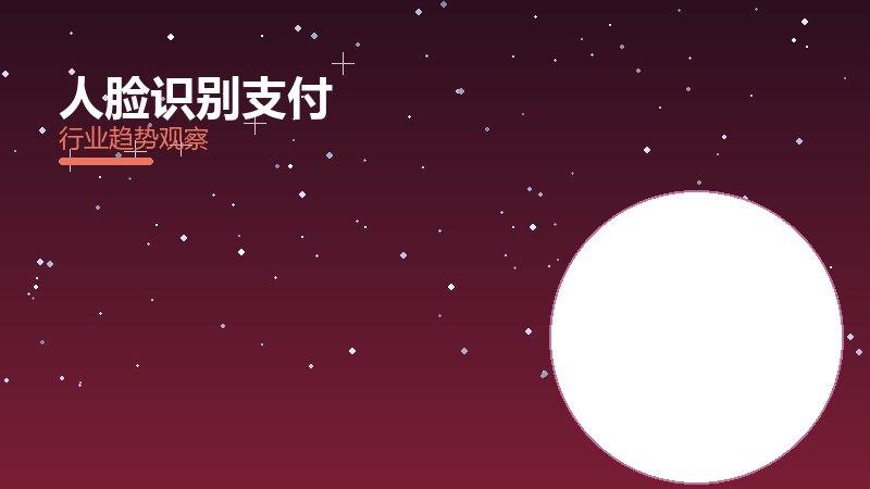 人脸识别支付配图